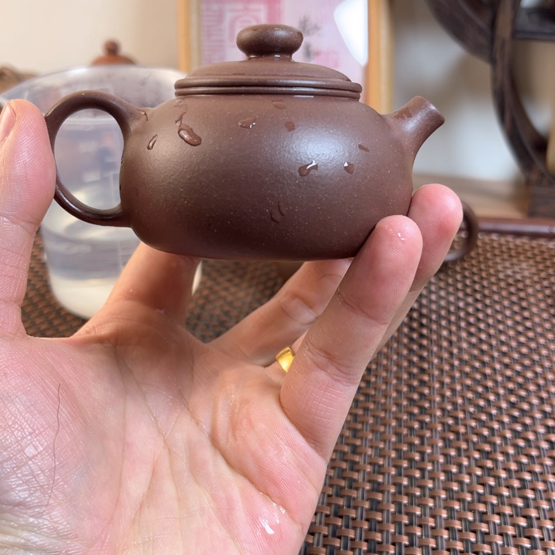 紫砂茶壶555588888855555855