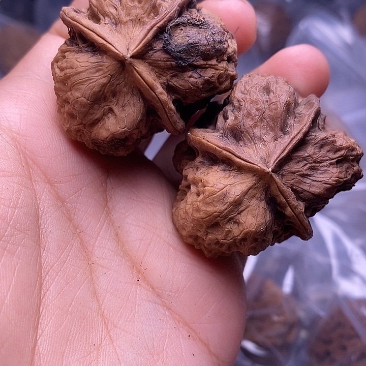 文玩核桃把件   205