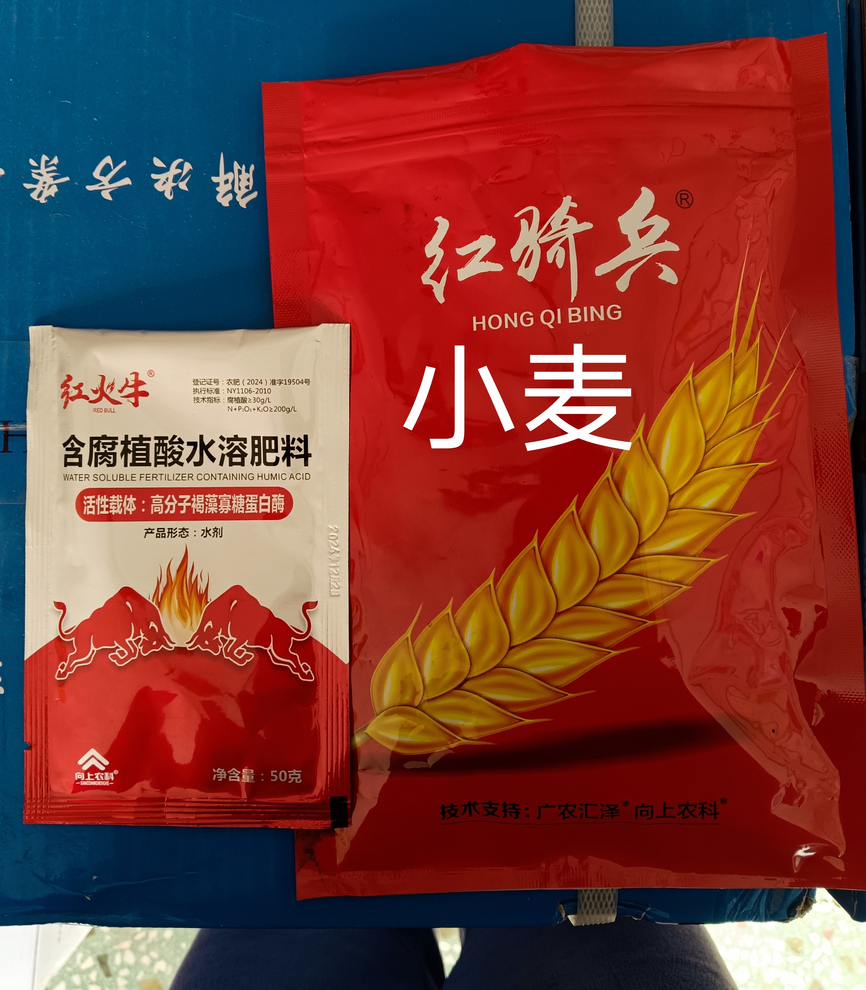 小麦高产管理至关重要