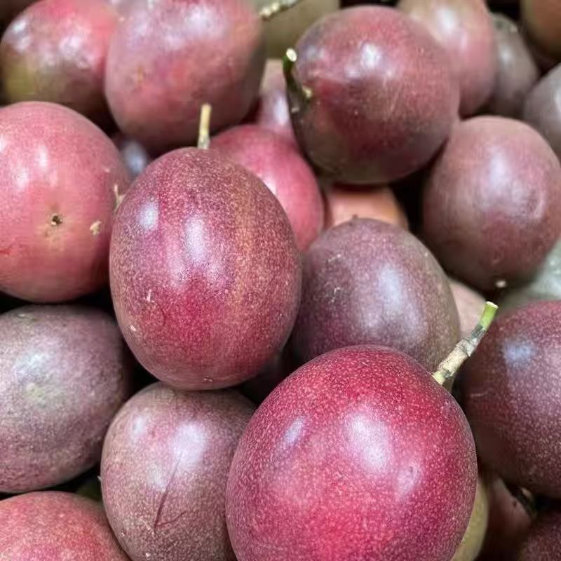 正宗云南高山紫皮百香果孕妇水果酸酸甜甜奶茶店特大百香果