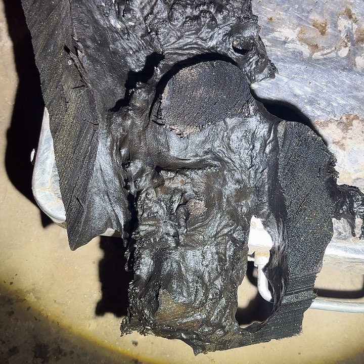 飘***雪金丝楠啊啊啊啊啊啊啊啊