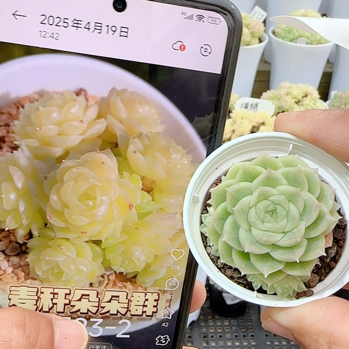 1203-12（湘江-23-2）