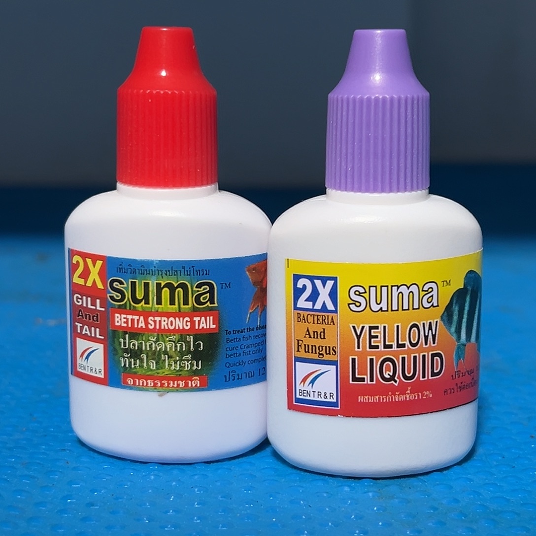 斗鱼斗鱼用品组合