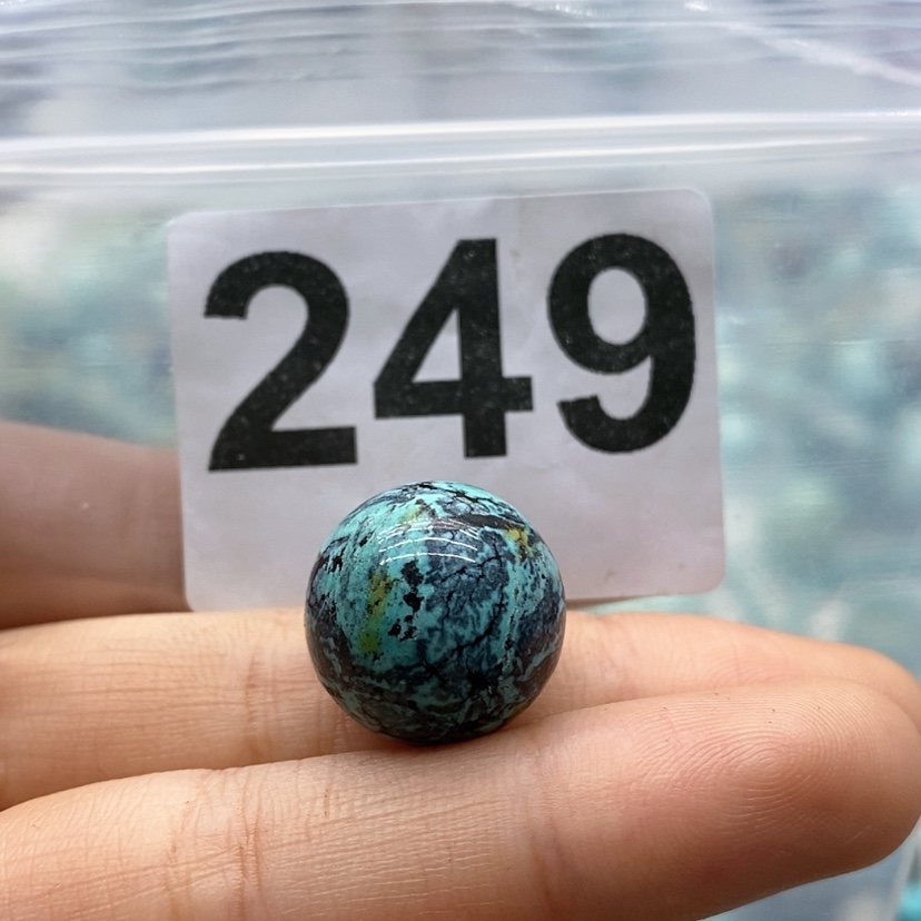 【闪购商品】绿松石颈饰未镶嵌西**虫