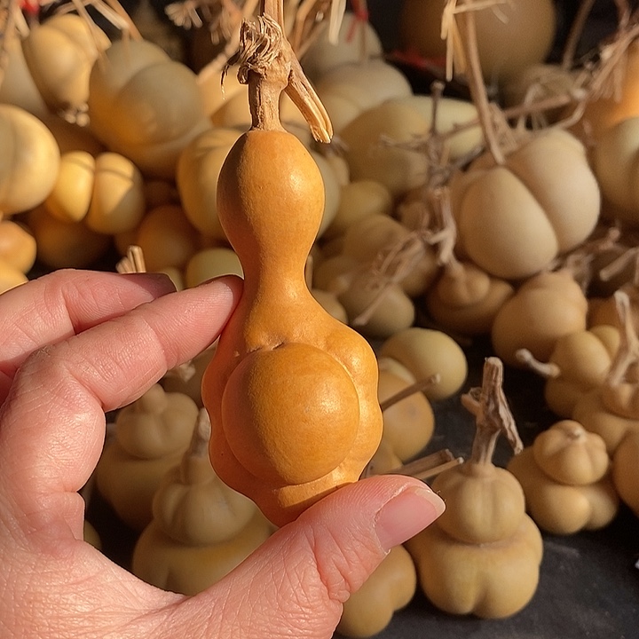 ?****o葫芦的颜色很好看啊