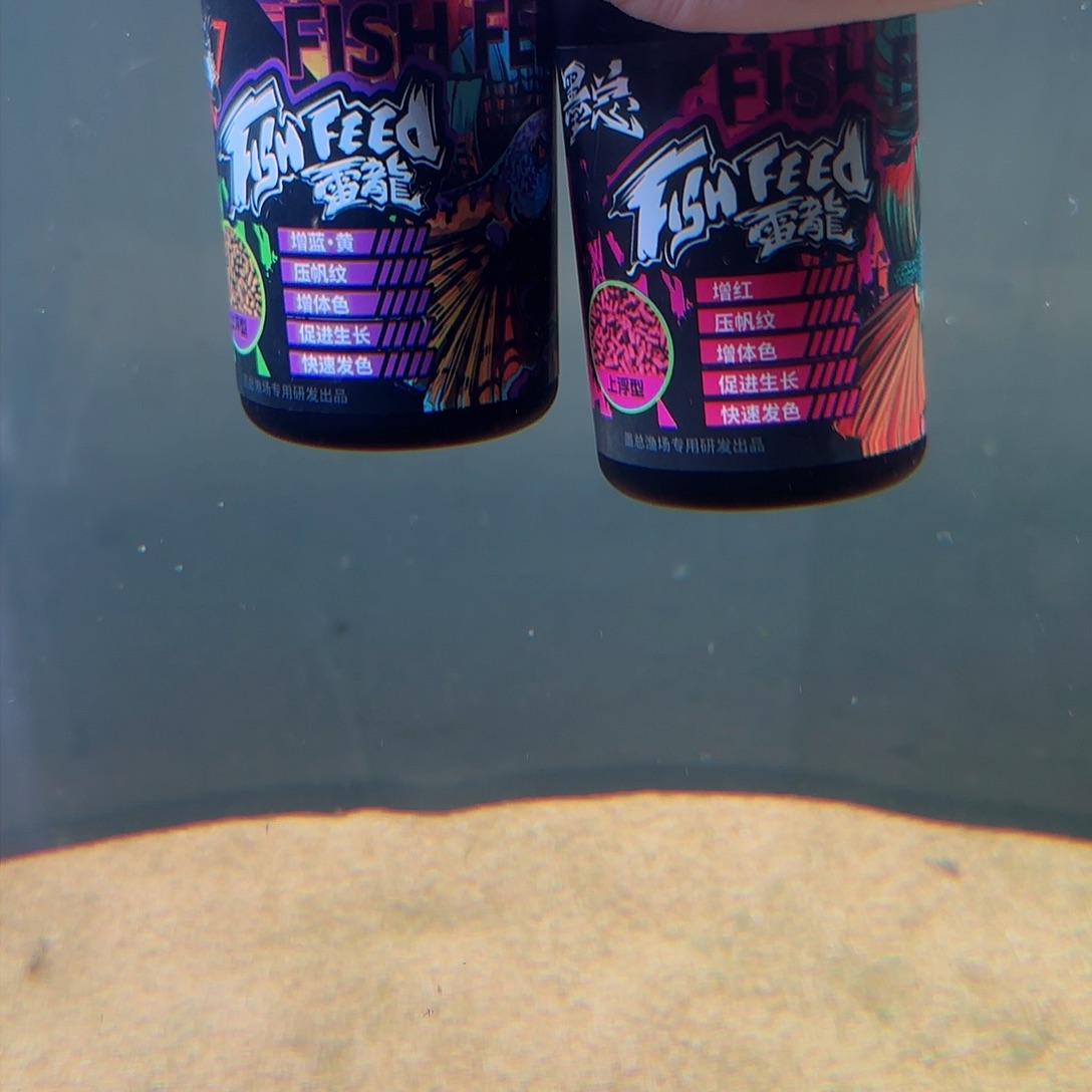 热带鱼公105555555