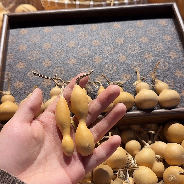 荔**只规划和姐姐寄你家