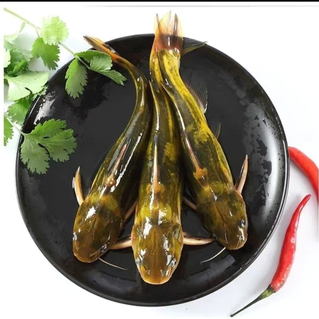 【顺丰包邮】东北嫩江 野生 淡水 冷水 嘎牙子鱼 肉质鲜美 鲜活发货
