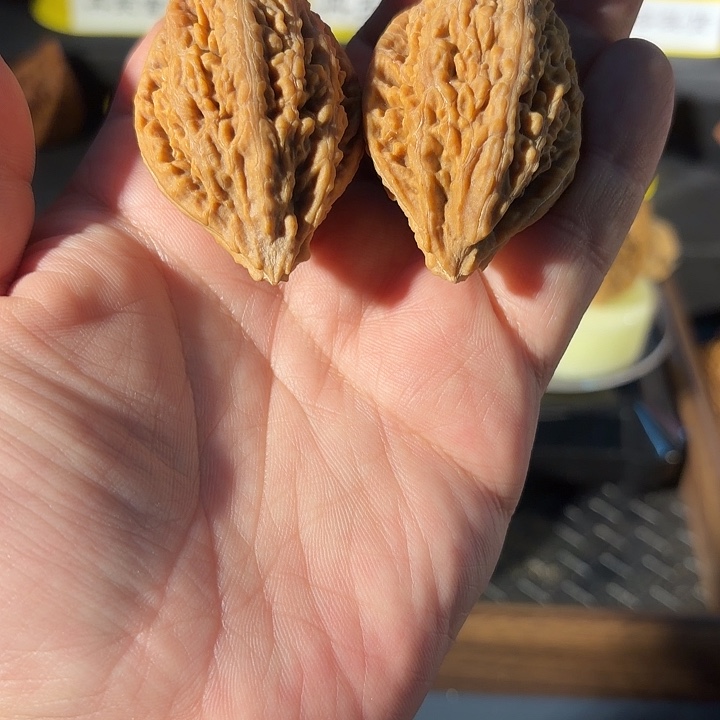 唐***圣桃核把件蚂蚁坡（福利特价）