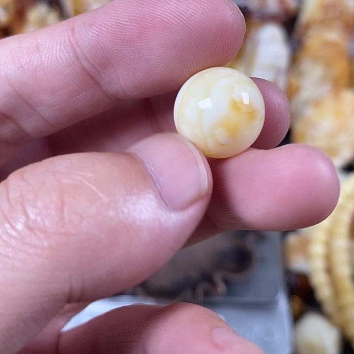 裸石琥珀未镶嵌我