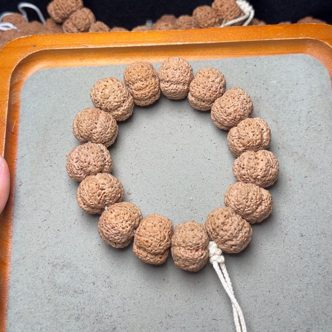 菩提12号金刚菩提中熊猫菠萝蜜23