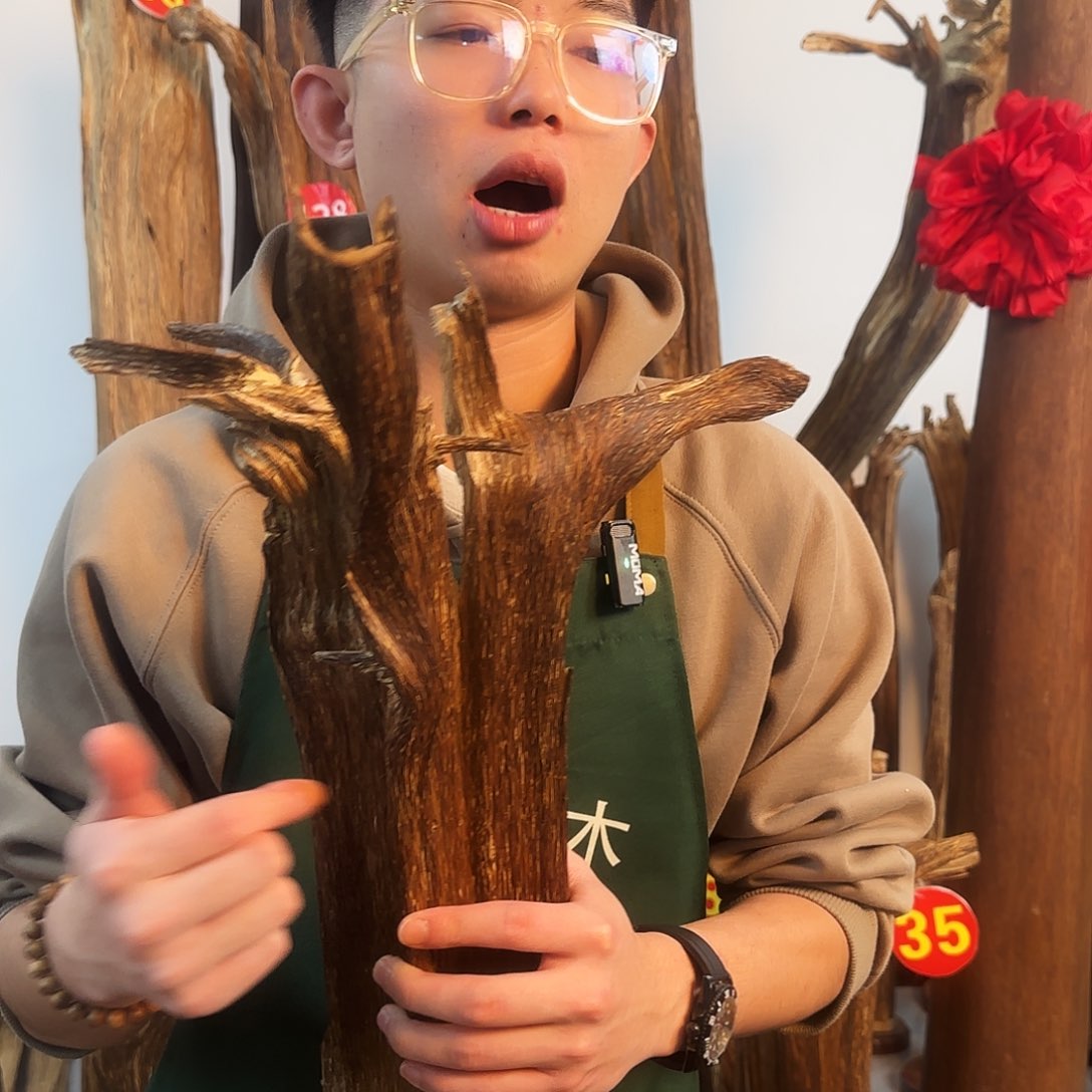 沉香摆件天然沉香原木摆件➕底座