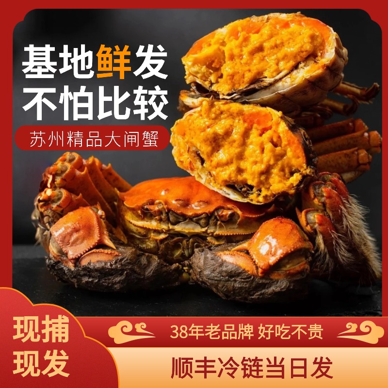 活蟹【苏州金牌大闸蟹】3.6-3.9两公+2.6-2.9两母6只装+2只塘养