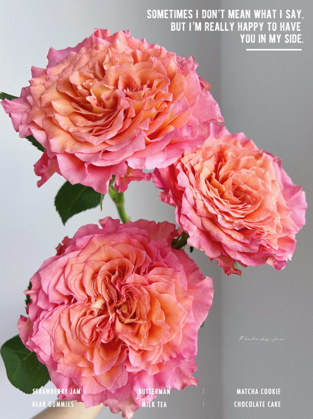 【小阿阮】火灵鸟·A级暖色香水玫瑰开花大云南鲜花装饰 顺丰直发