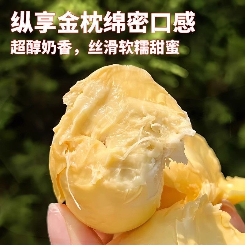 【空运树熟AA级金枕榴莲】一物一拍【泰国东部金枕榴莲】新鲜带壳水果榴莲整个2-8斤核小榴莲次日达金枕泰国东部