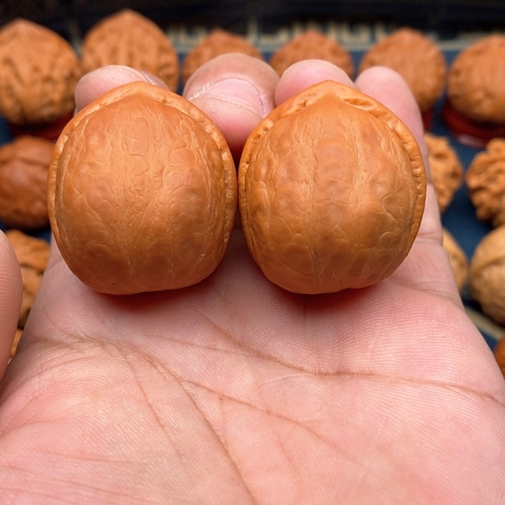 文玩核桃把件龙胆元宝