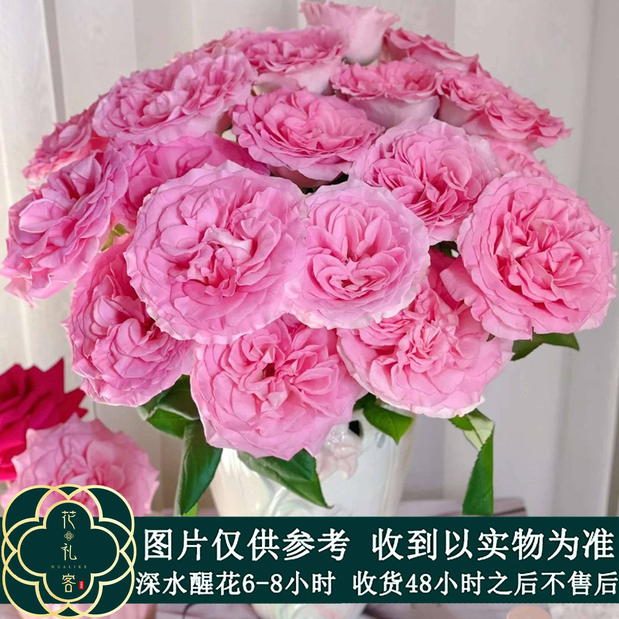七叶花坊#单头玫瑰 【洛神】鲜花优选 顺丰直发 修剪养护