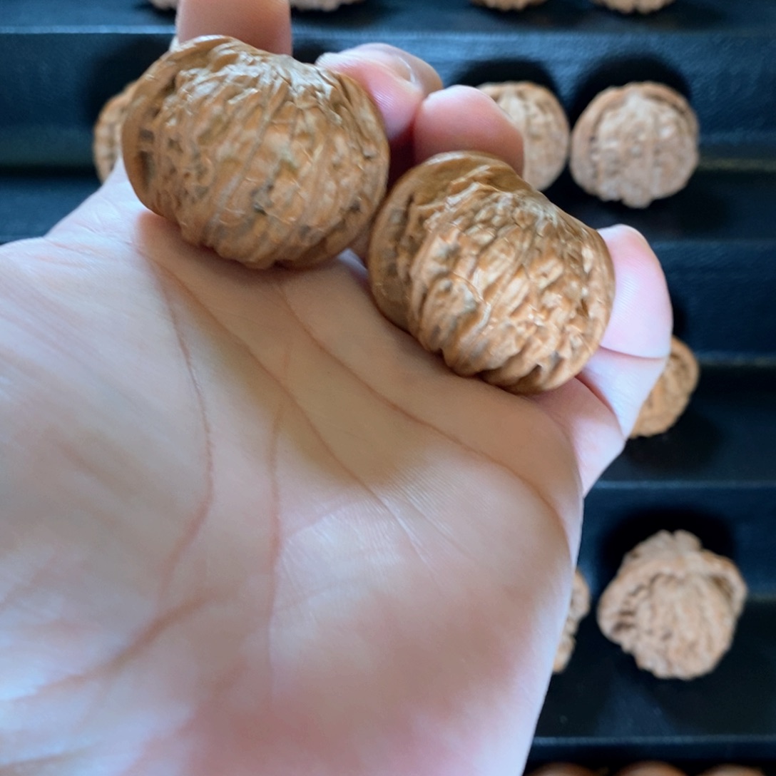 文玩核桃把件全品药磨40