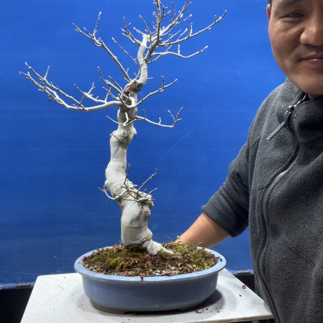 无花朵888888888888