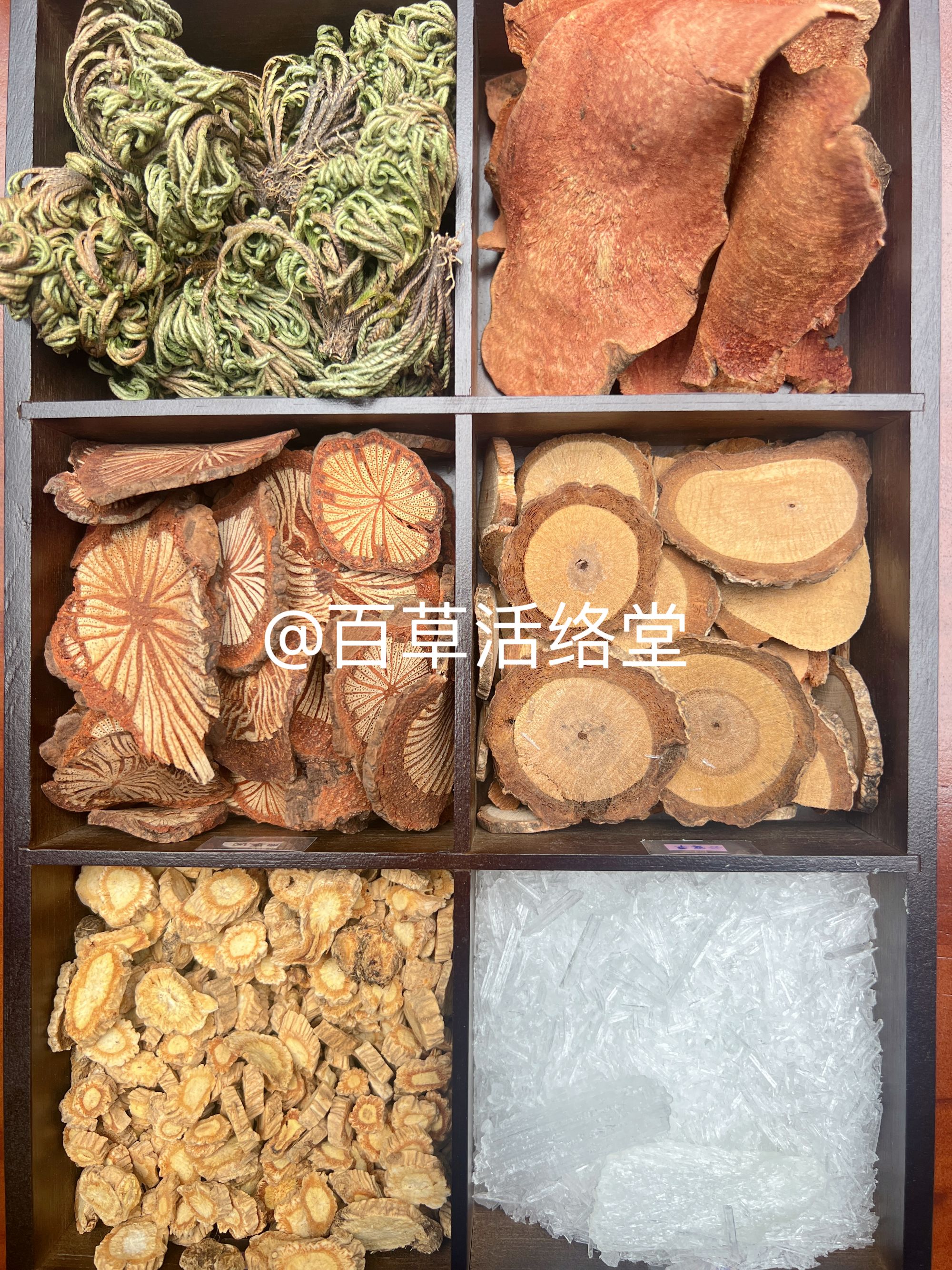 【肩颈腰腿路路通】经络还魂草大血藤红土茯苓防风暴冰红木香六件套