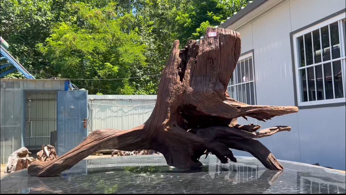 尺寸：125✖️28✖️60，紫柚木，木质老辣，爆裂纹，天然一体，大飘枝树桩