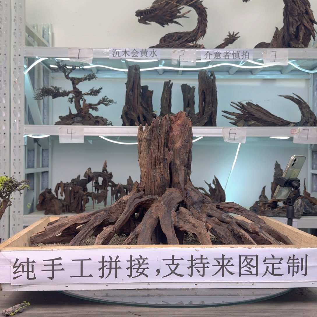 嗯****沉木造景沉木造景