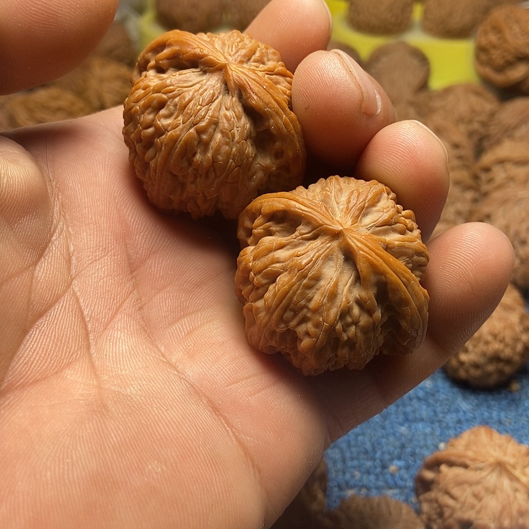 偷***气把件文玩核桃白狮子