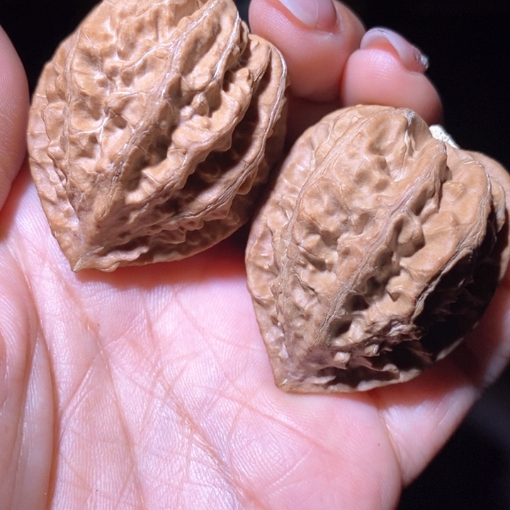 文玩核桃把件东北野生楸子小美09