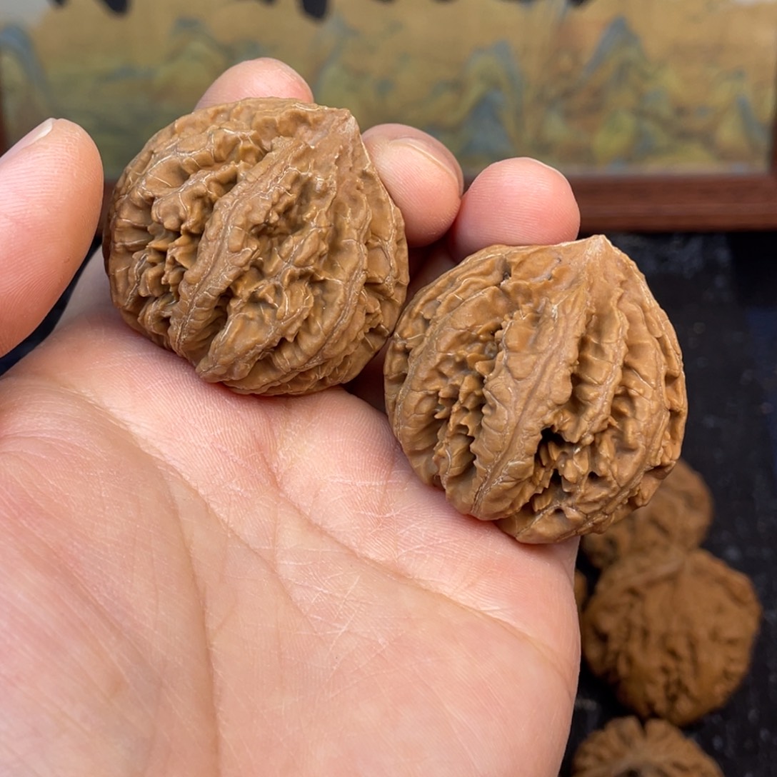 核桃6号链接666666