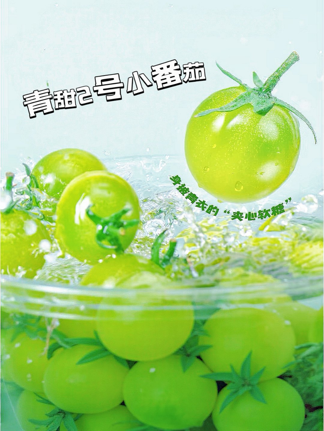 青甜2号小番茄山东寿光现摘新鲜绿色巨甜小番茄圣女果京东包邮