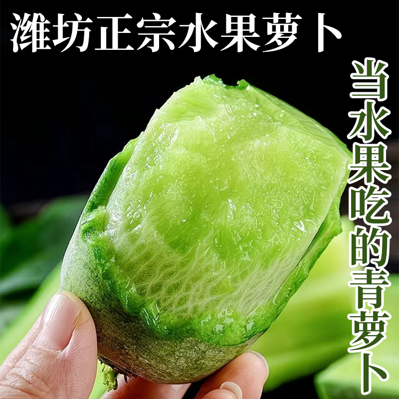 正宗潍坊水果萝卜产地直发新鲜现挖口感脆爽清甜微辣解腻