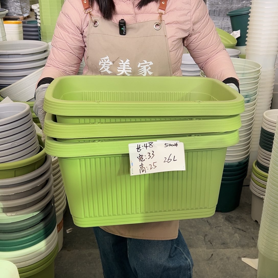 菜盆500#果绿色3个无托