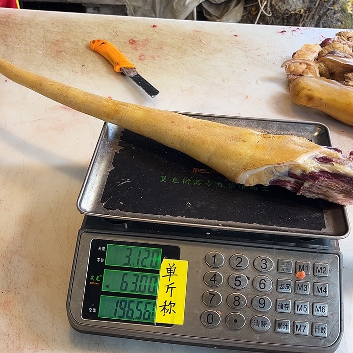 阿***枫18中国大陆牛尾巴