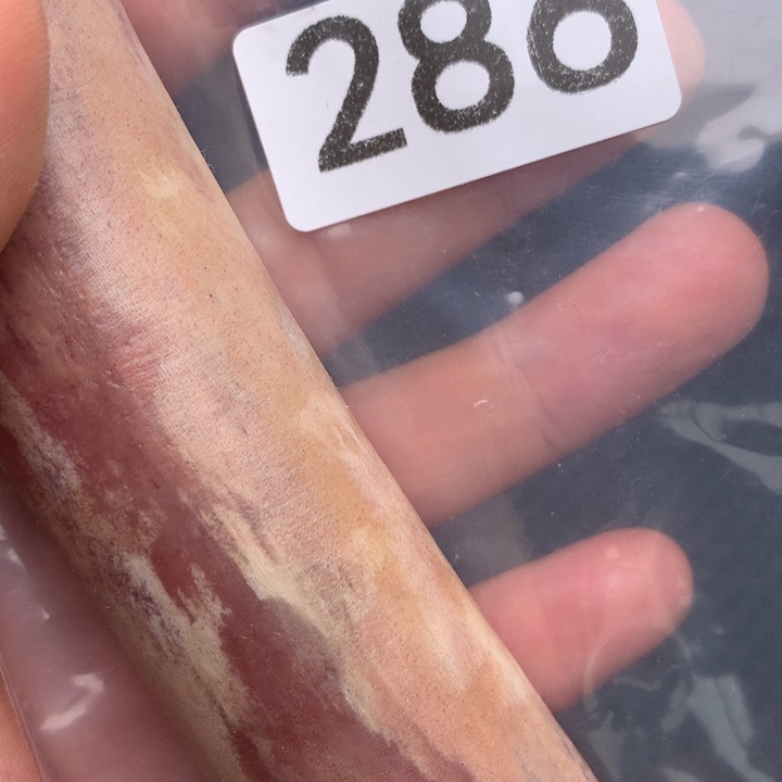 大果紫檀（缅甸花梨）