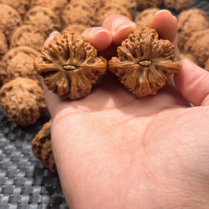 臭**?南疆石40+尺南疆