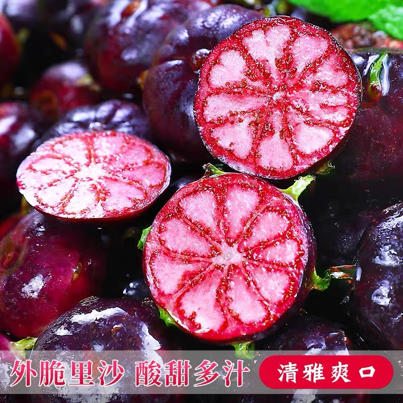 【助农-8盒更划算】云南红果参新鲜采摘当季稀有蜘蛛果罕见红果参Z