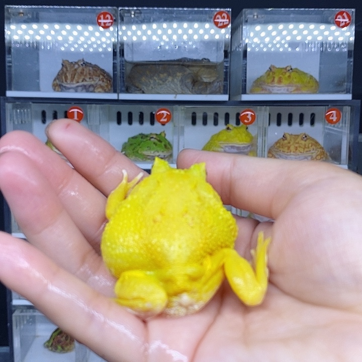 特价秒杀现货特价