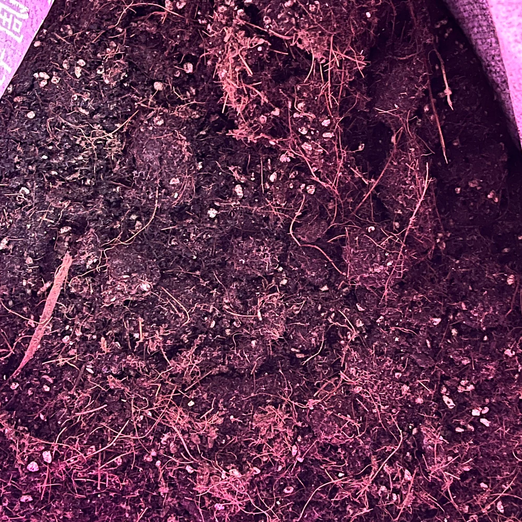 【草炭土泥炭土养花】【肥料】芍药牡丹精品营养土颗粒土-疏松透气