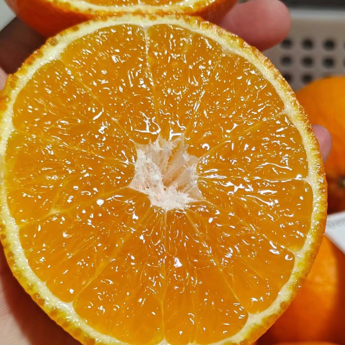 （袋装）爱媛果冻橙（5斤）/袋