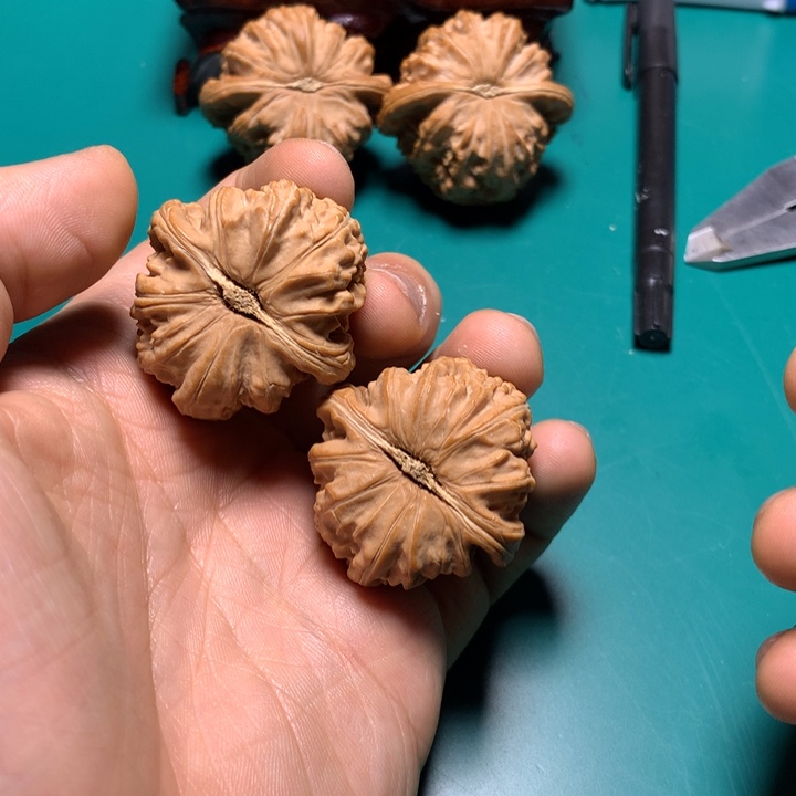 把件文玩核桃0**9白狮子