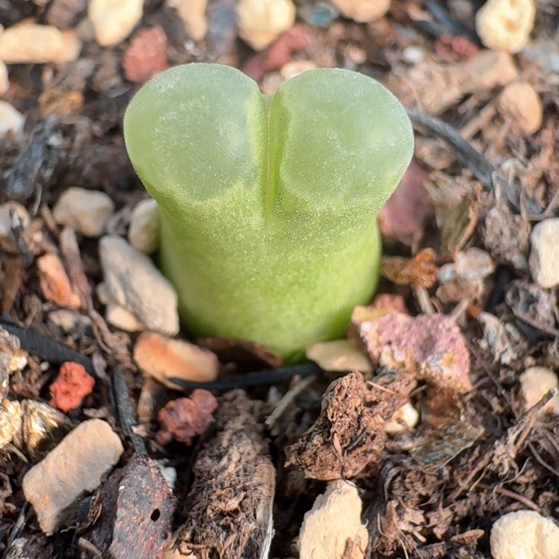 76一颗00000000000000