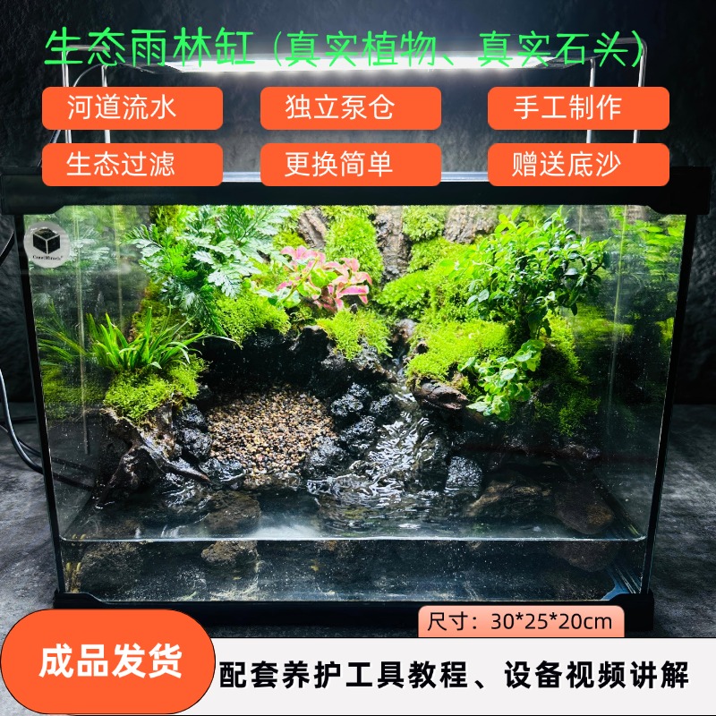 苔藓微景观带流水可养鱼办公室桌面水陆缸角蛙乌龟螃蟹生态雨林缸