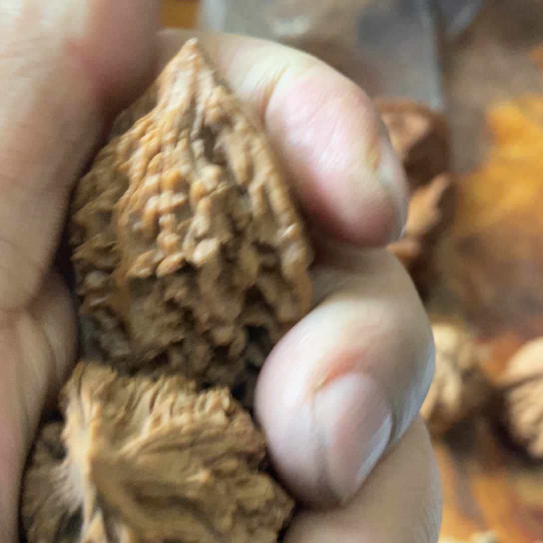 平*秦岭南侧和秦岭之间