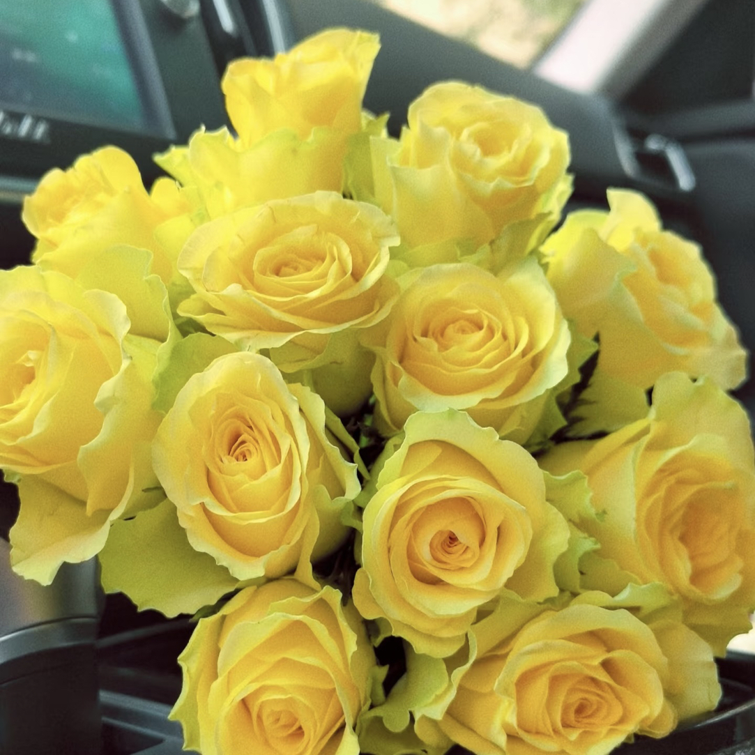 【浪漫沙滩20枝】全部中通包邮送货上门云南基地现采现发鲜花玫瑰