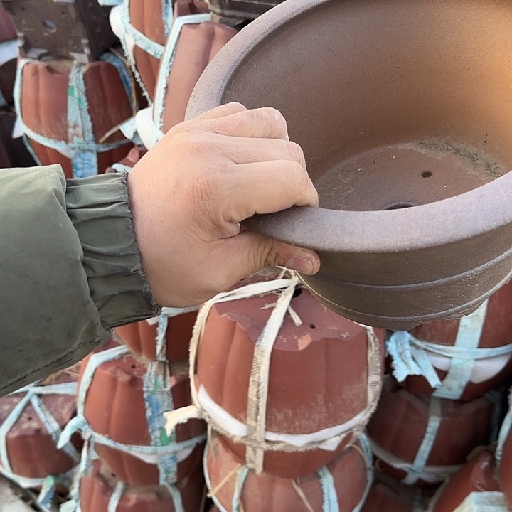 在干嘛的我还以为自己没看完这篇论文我看着看书去呀