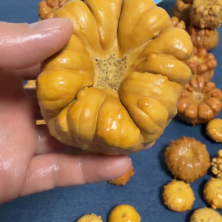 鹤***影墨西哥七彩疙瘩葫芦