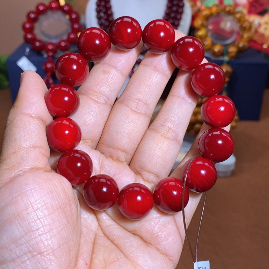 贝壳杉帝王血龙木1.5