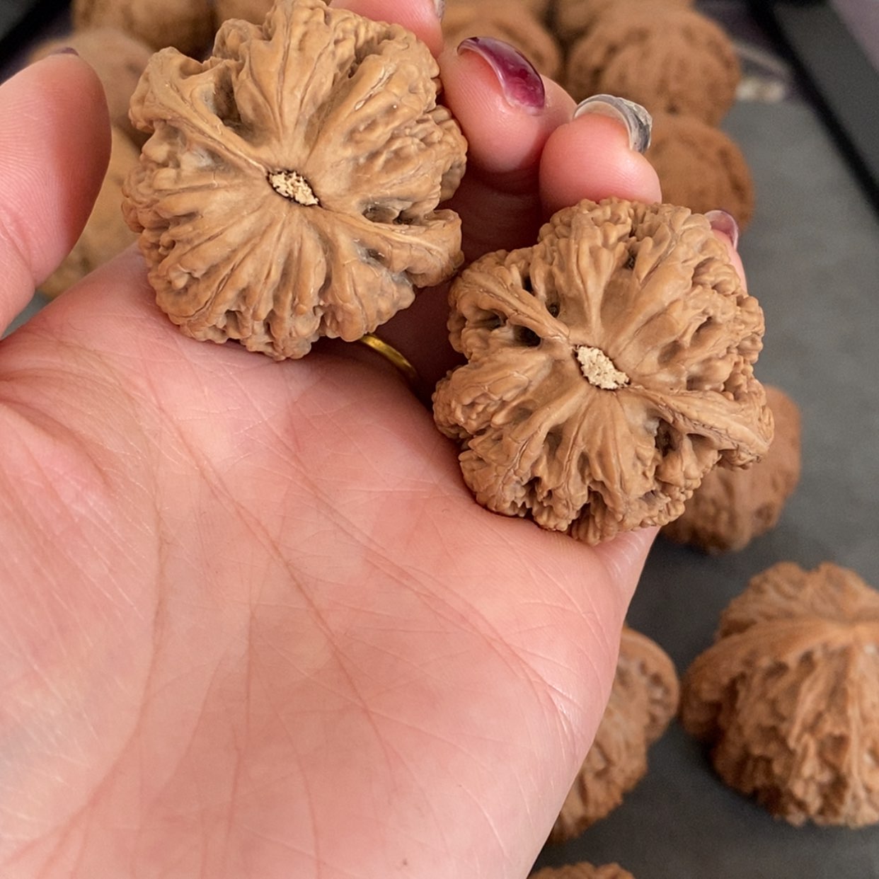 【闪购商品】把件文玩核桃?**漫粗筋39，边差尺