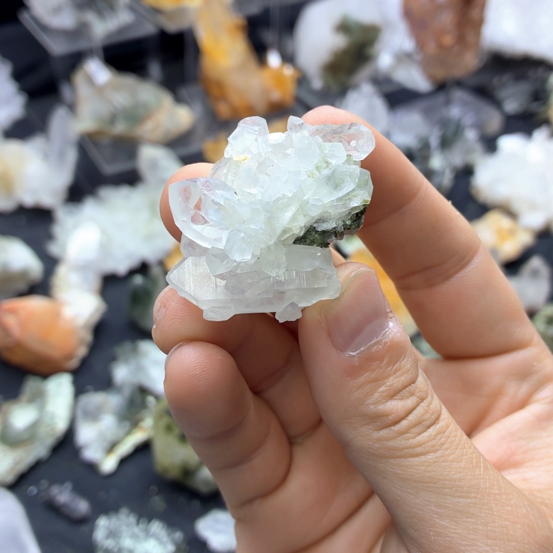 石材白兔毛花园美的嘞