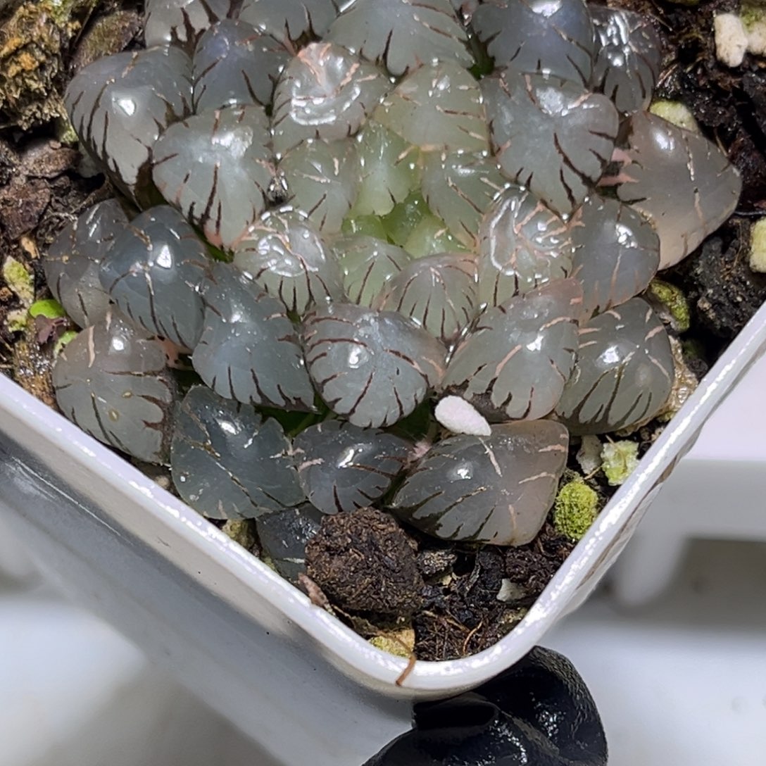恭喜发财大吉大利0476